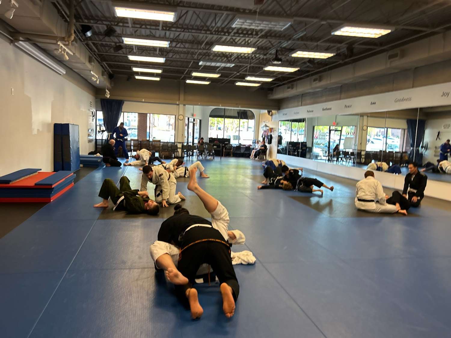 Jiu-Jitsu Partner Practice