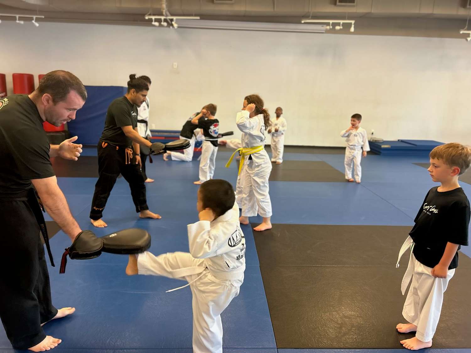 Taekwondo Kicking Paddle Targets